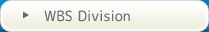 WBS Division