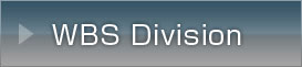 WBS_Division
